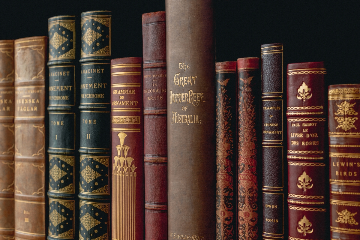 Private Tutoring in English, History, & Math | One-on-One Academic Support - WonderWell Learning