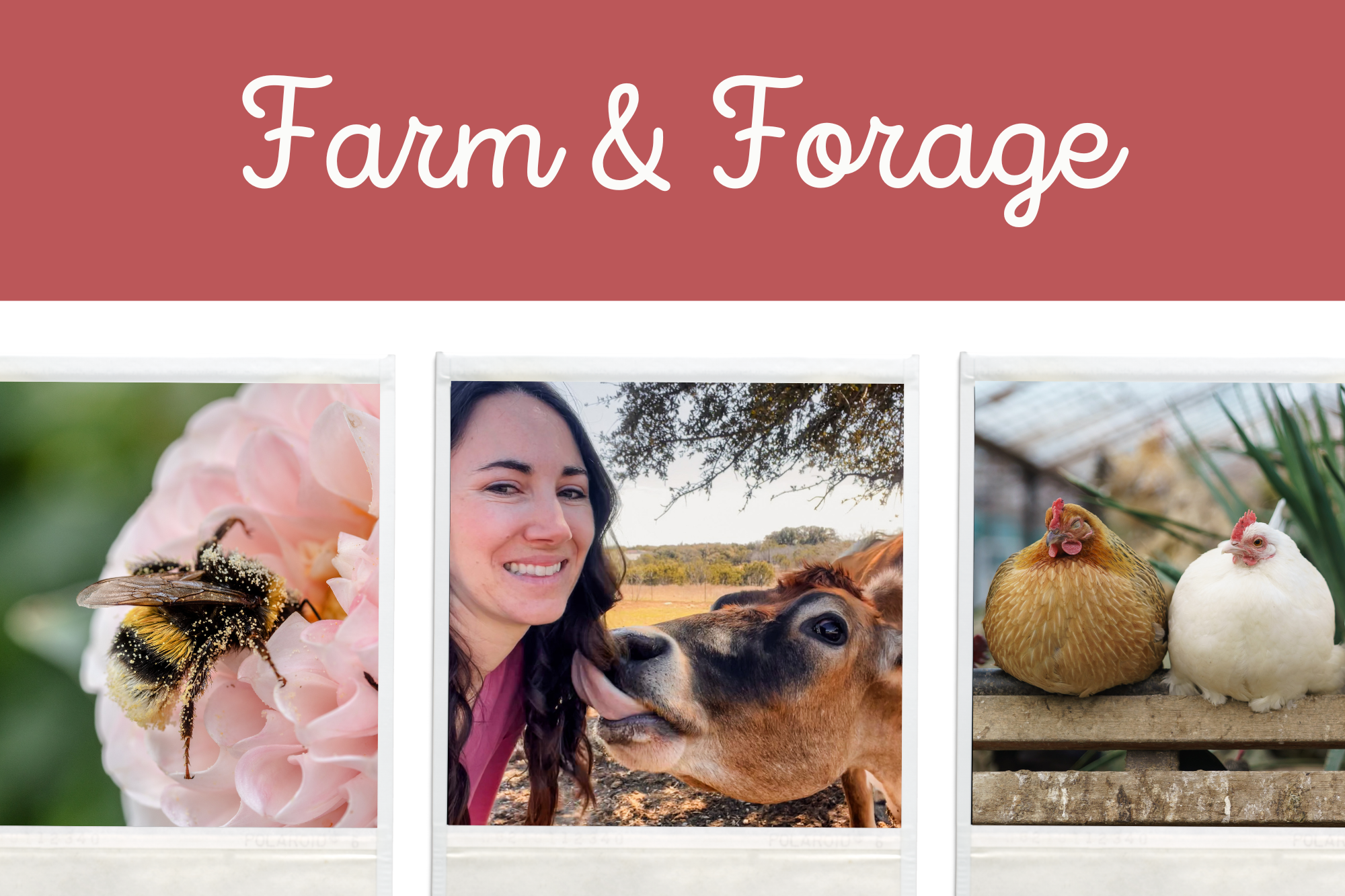 Farm & Forage