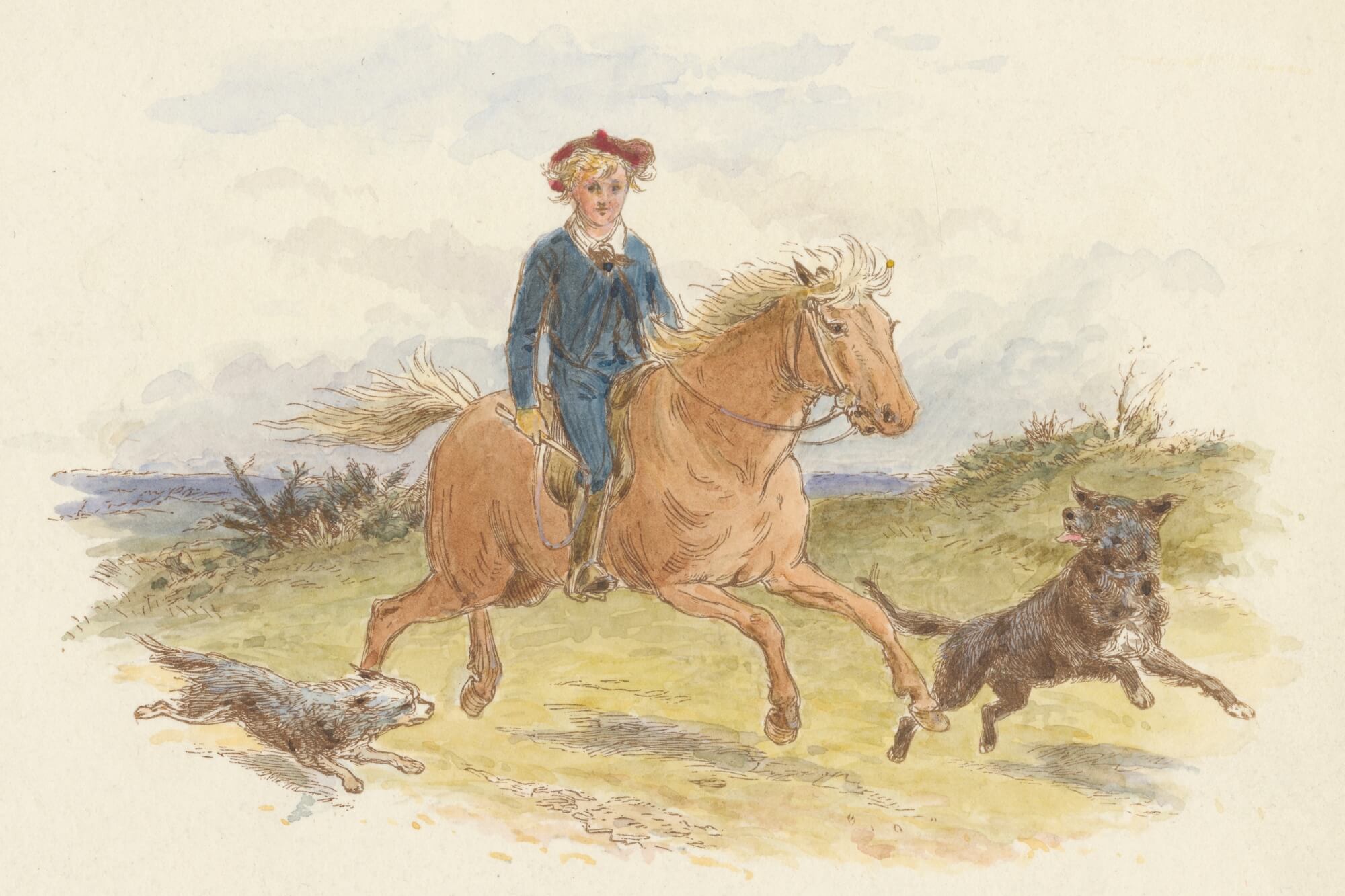 STEM in Narnia: A Novel Study Adventure with The Horse and His Boy - WonderWell Learning