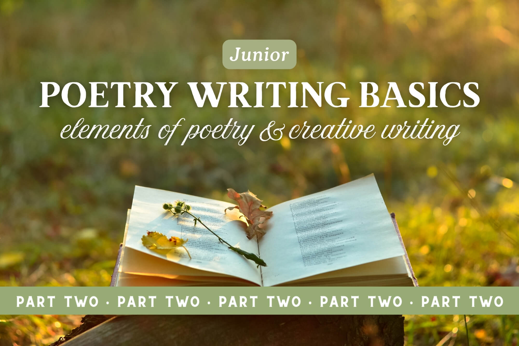 Poetry Writing Basics Junior: Elements Of Poetry & Creative Writing Projects (Part 2)