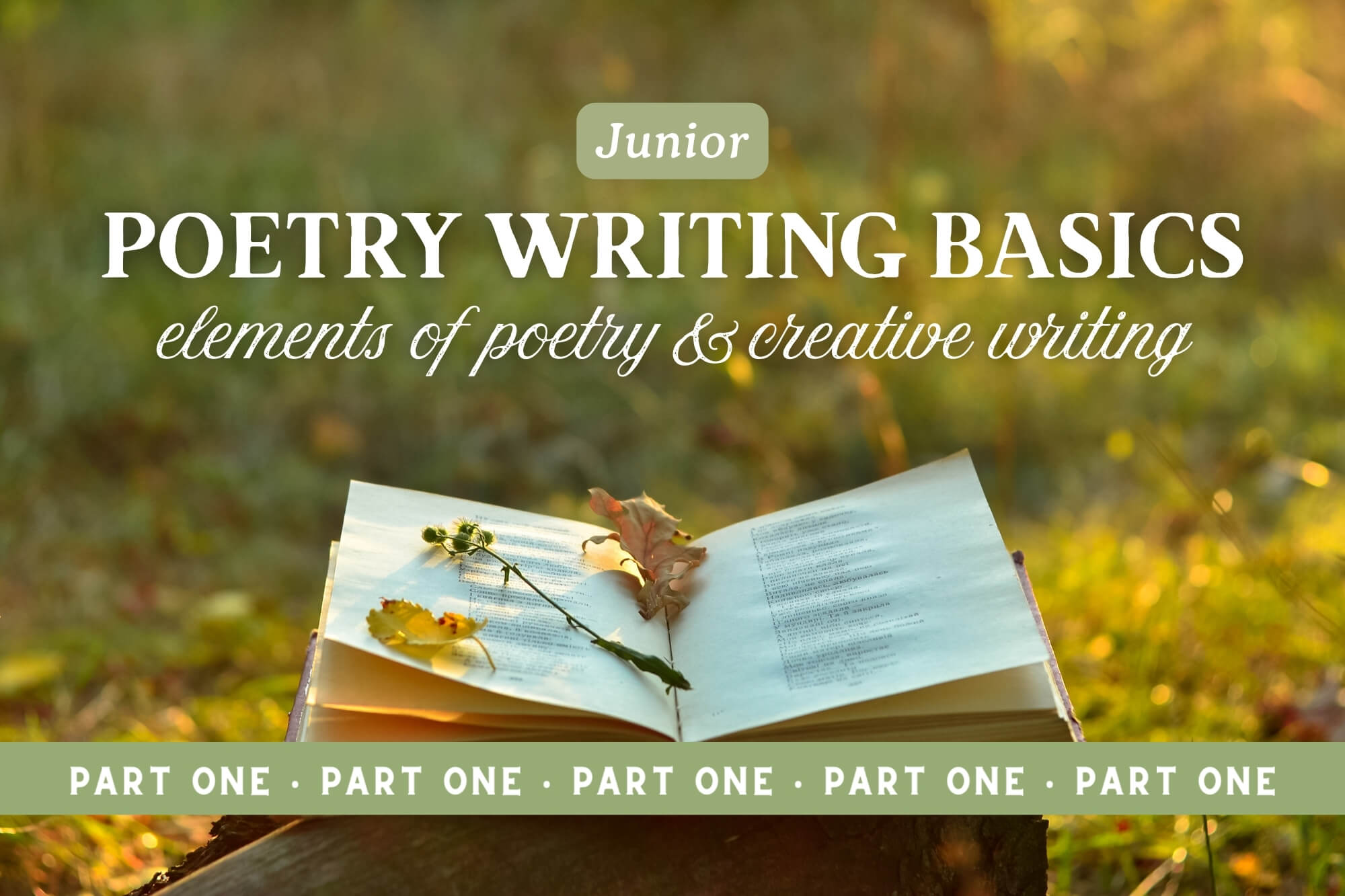 Poetry Writing Basics Junior: Elements Of Poetry & Creative Writing Projects (Part 1)