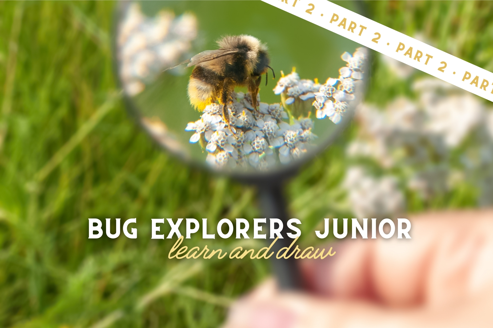 Bug Explorers Junior: Learn & Draw (Part 2) - WonderWell Learning