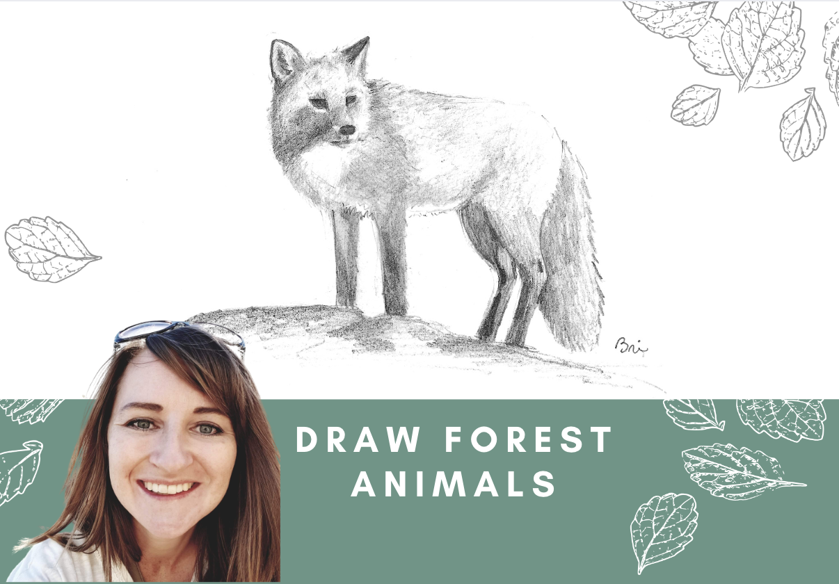 Draw Realistic Forest Animals - WonderWell Learning