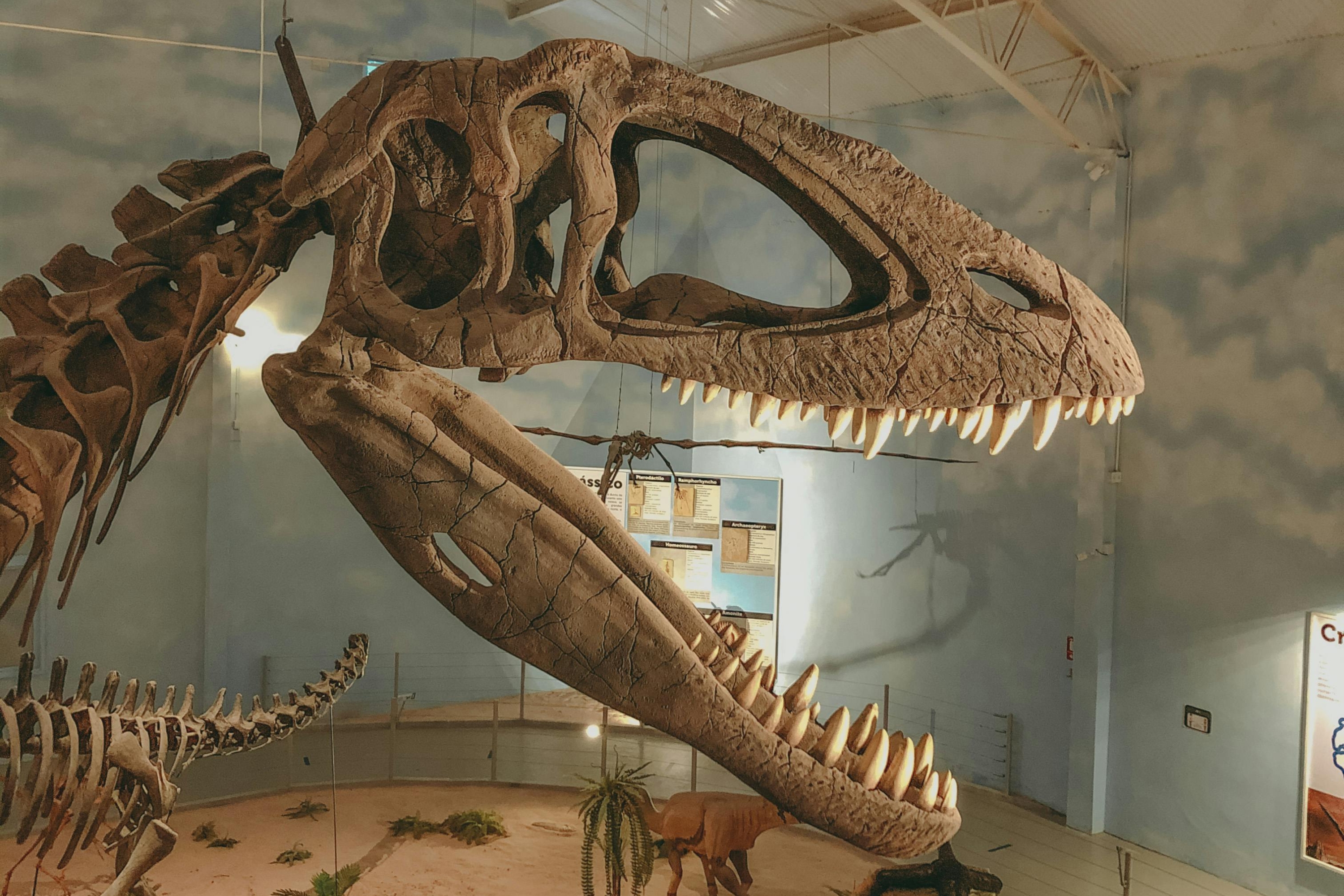 Roar & Explore: Bible Dinosaurs and STEM Fun