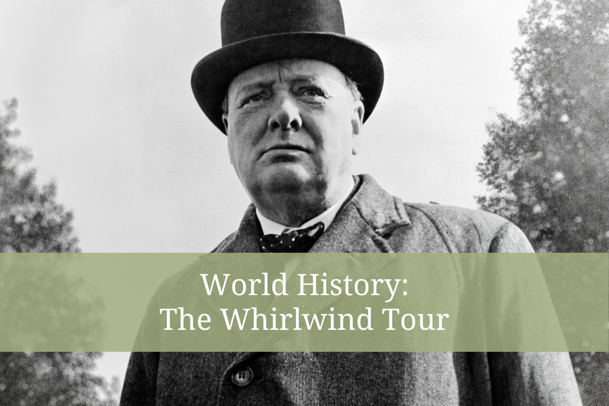 World History: The Whirlwind Tour - WonderWell Learning