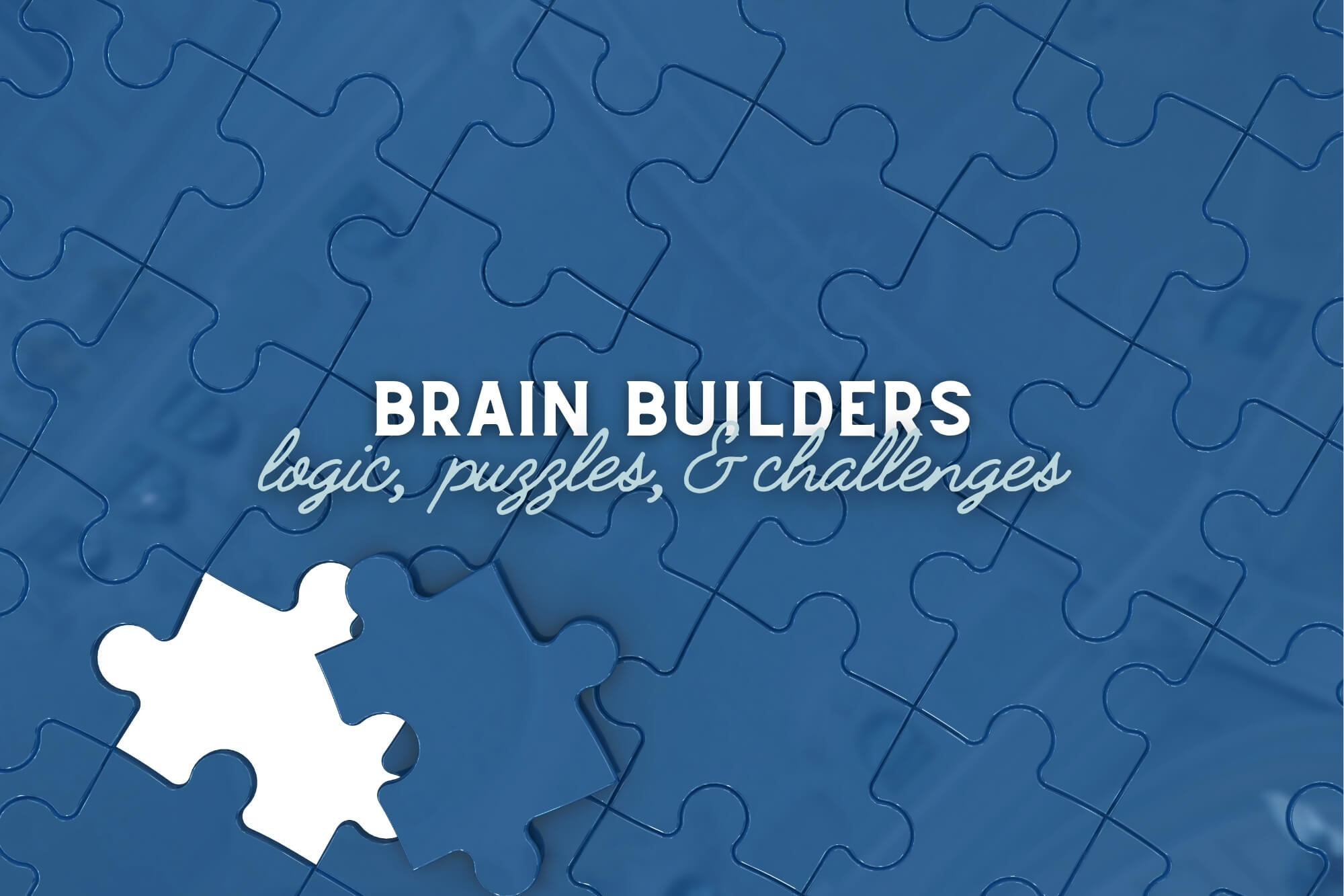 Brain Builders: Logic, Puzzles, and Challenges - WonderWell Learning