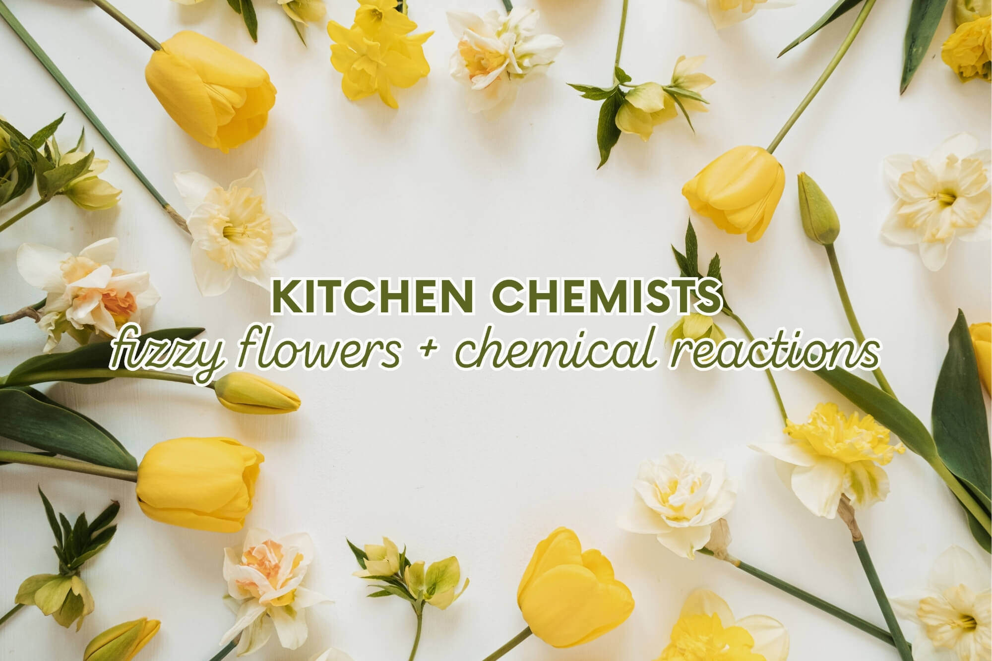 Kitchen Chemists: Fizzy Flowers & Chemical Reactions - WonderWell Learning