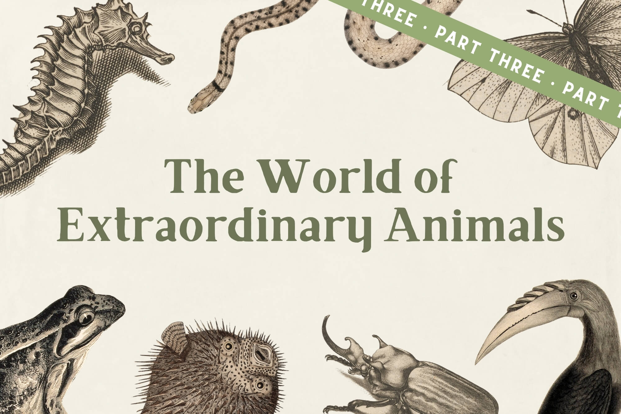 Animal Science: The World of Extraordinary Animals (Part Three)