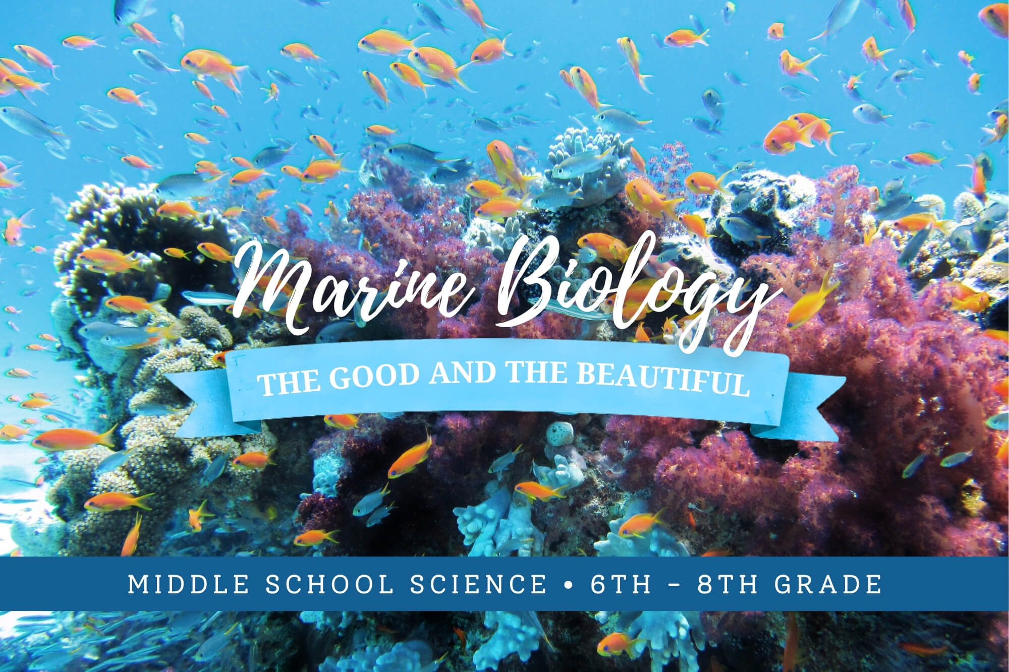 Middle School Marine Biology: The Good and the Beautiful Science (Grades 6–8) - WonderWell Learning