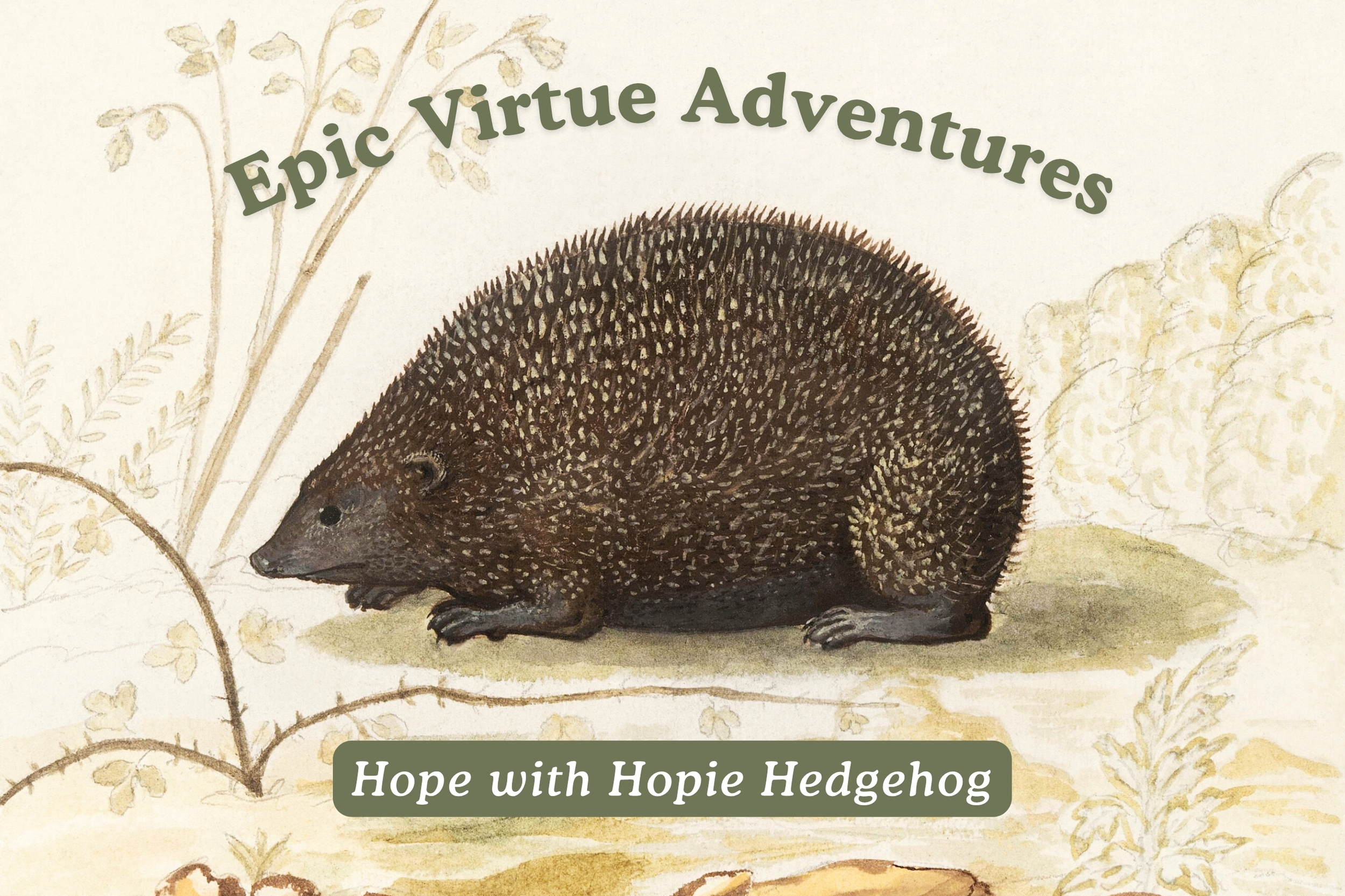 Epic Virtue Adventures: Hope with Hopie the Hedgehog