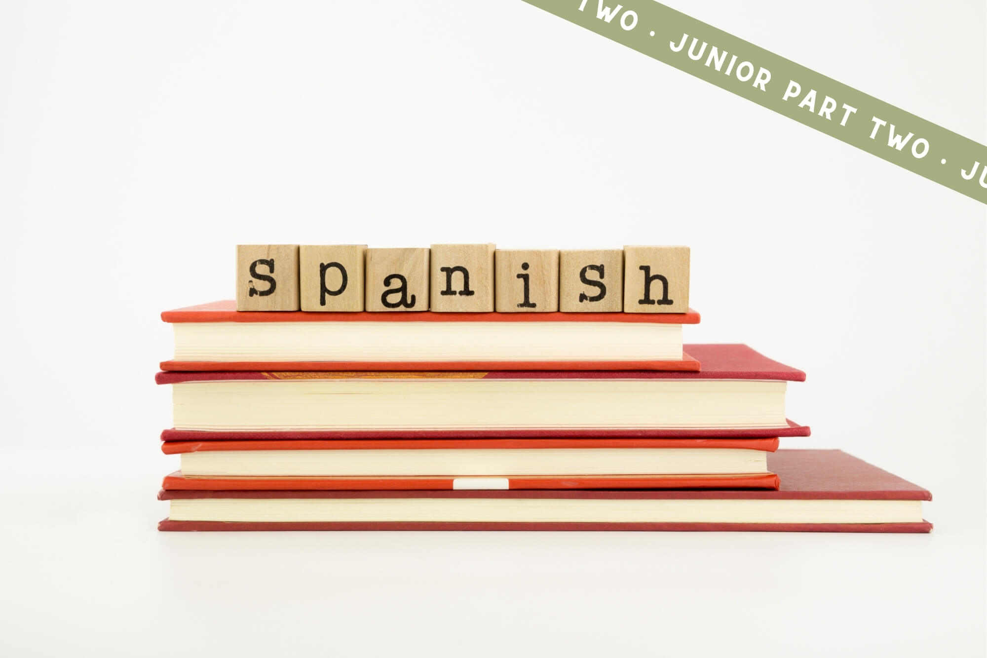 Spanish Vocabulary For Beginners (Junior Part 2)