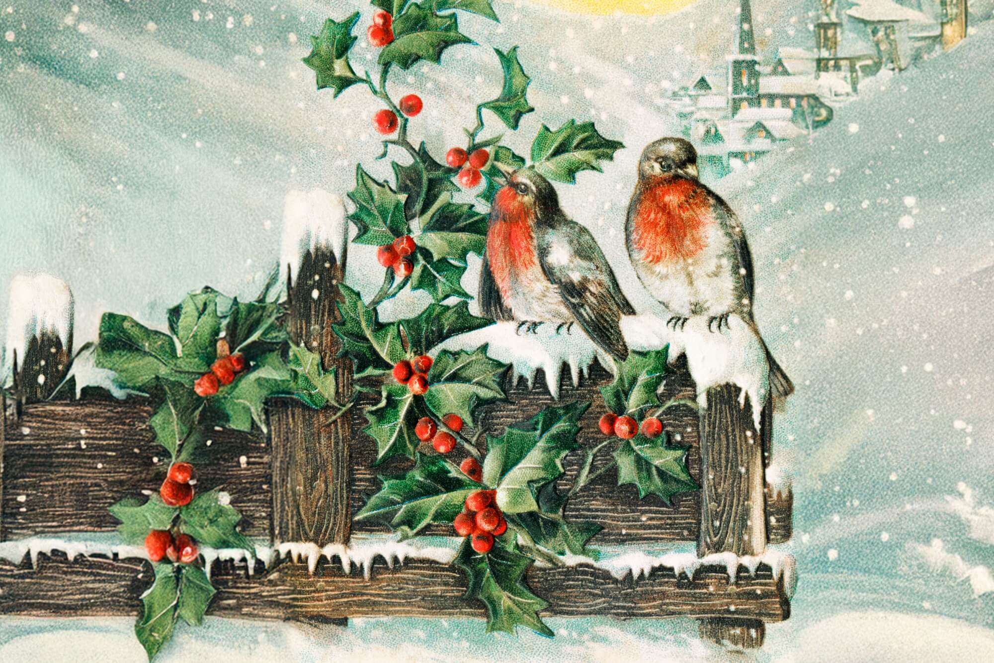 The Birds' Christmas Carol: A Christmas Read-Aloud Activity