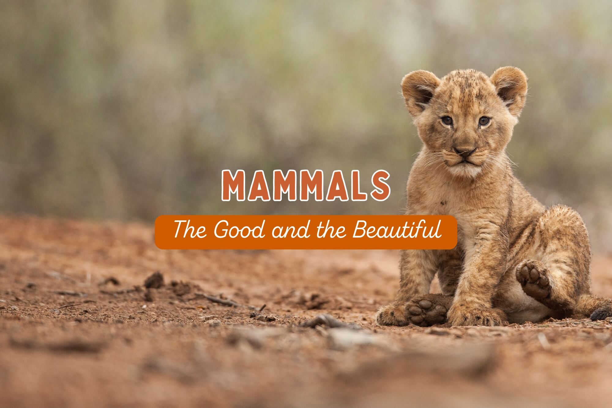 Mammals: The Good and the Beautiful Science - WonderWell Learning