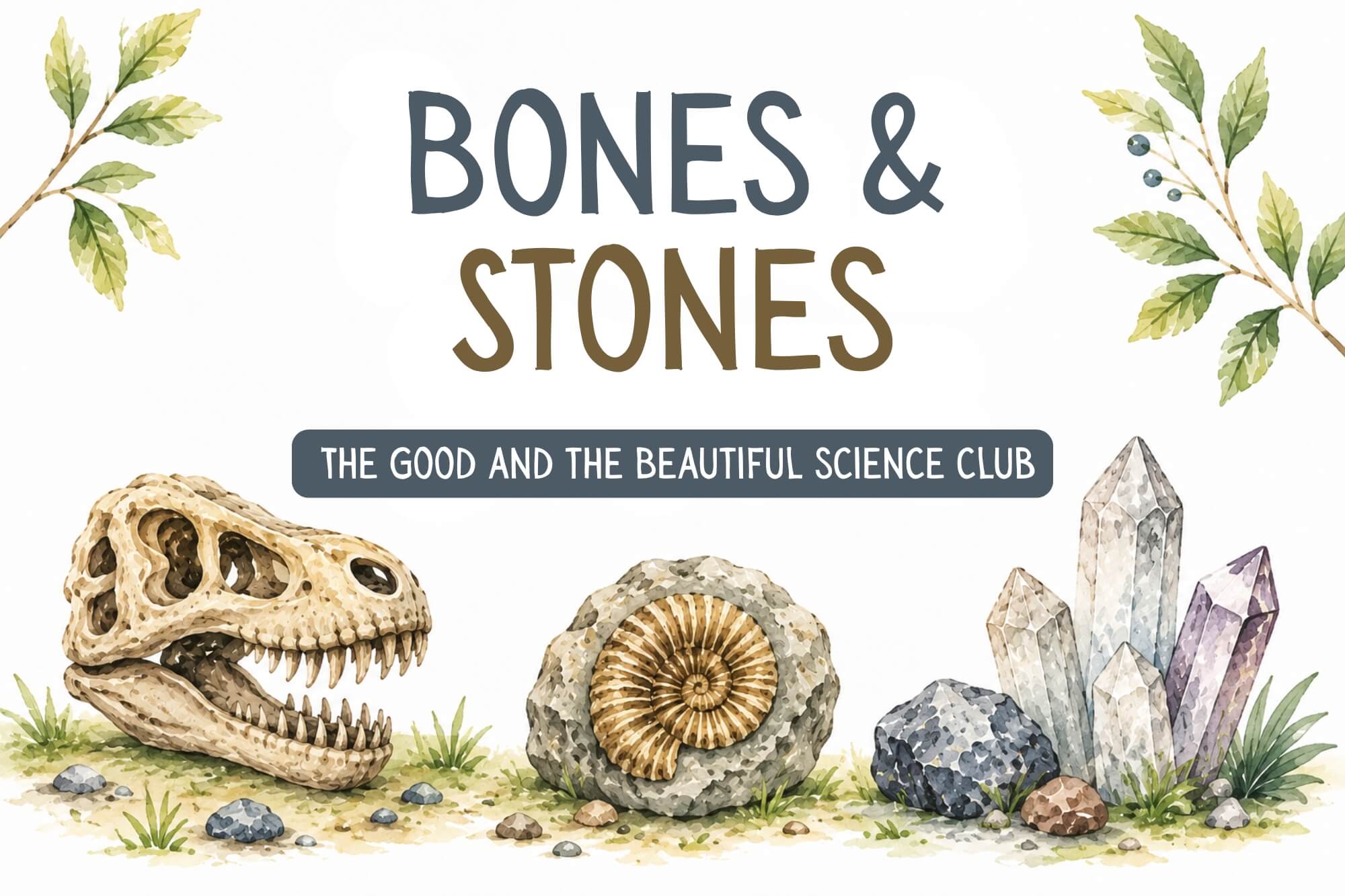 The Good and the Beautiful Science Club: Bones and Stones - WonderWell Learning