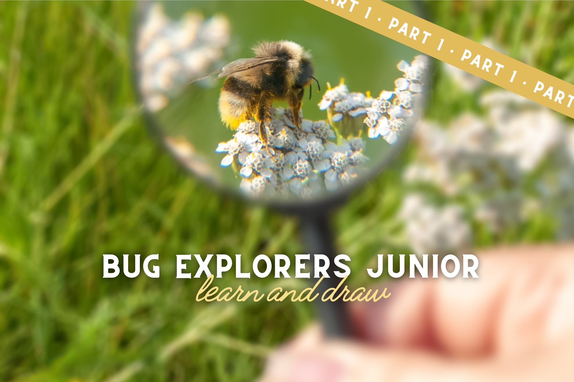 Bug Explorers Junior: Learn & Draw (Part 1) - WonderWell Learning