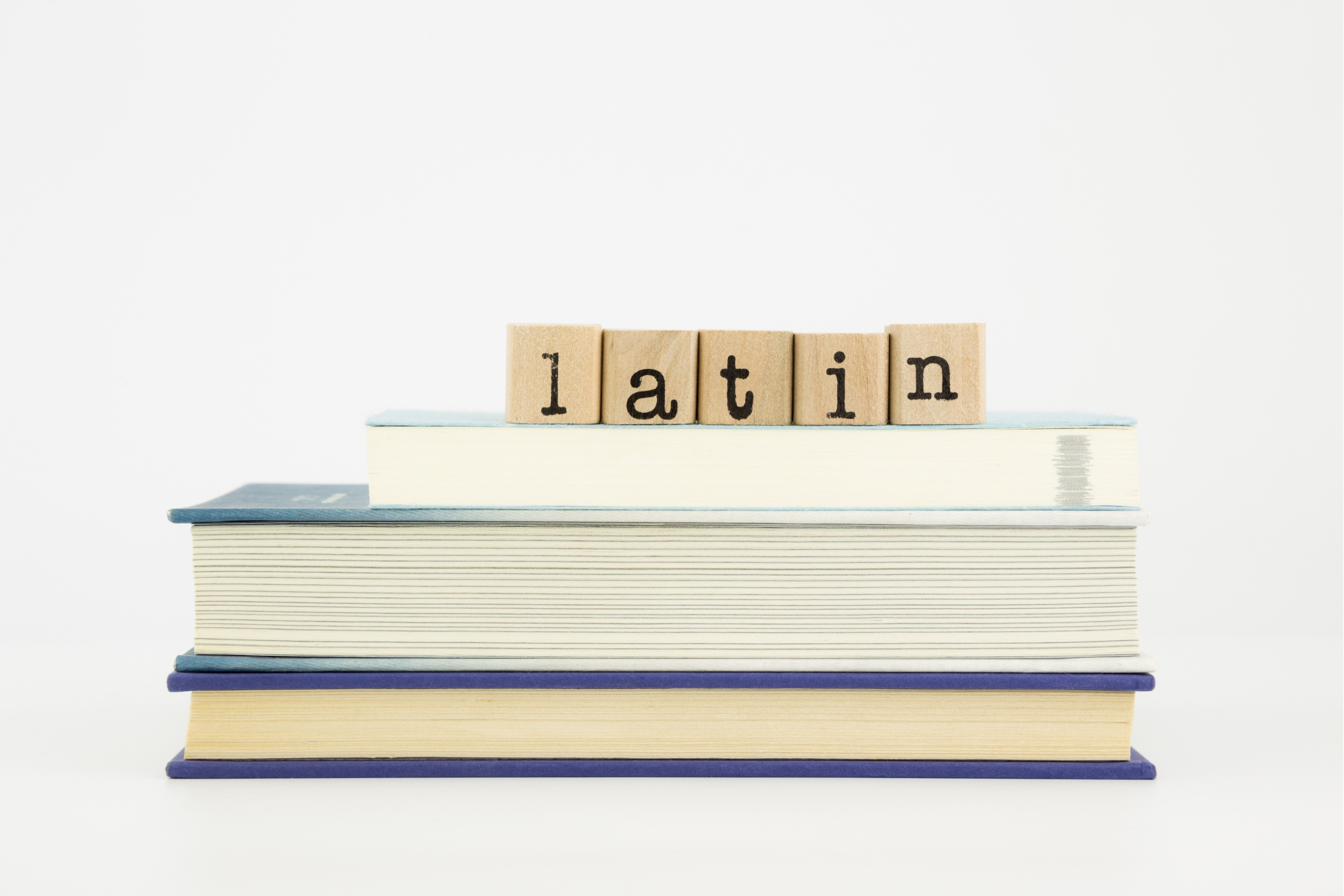 Drawing Latin Vocabulary: Latin Roots, Definitions, English Word Derivatives