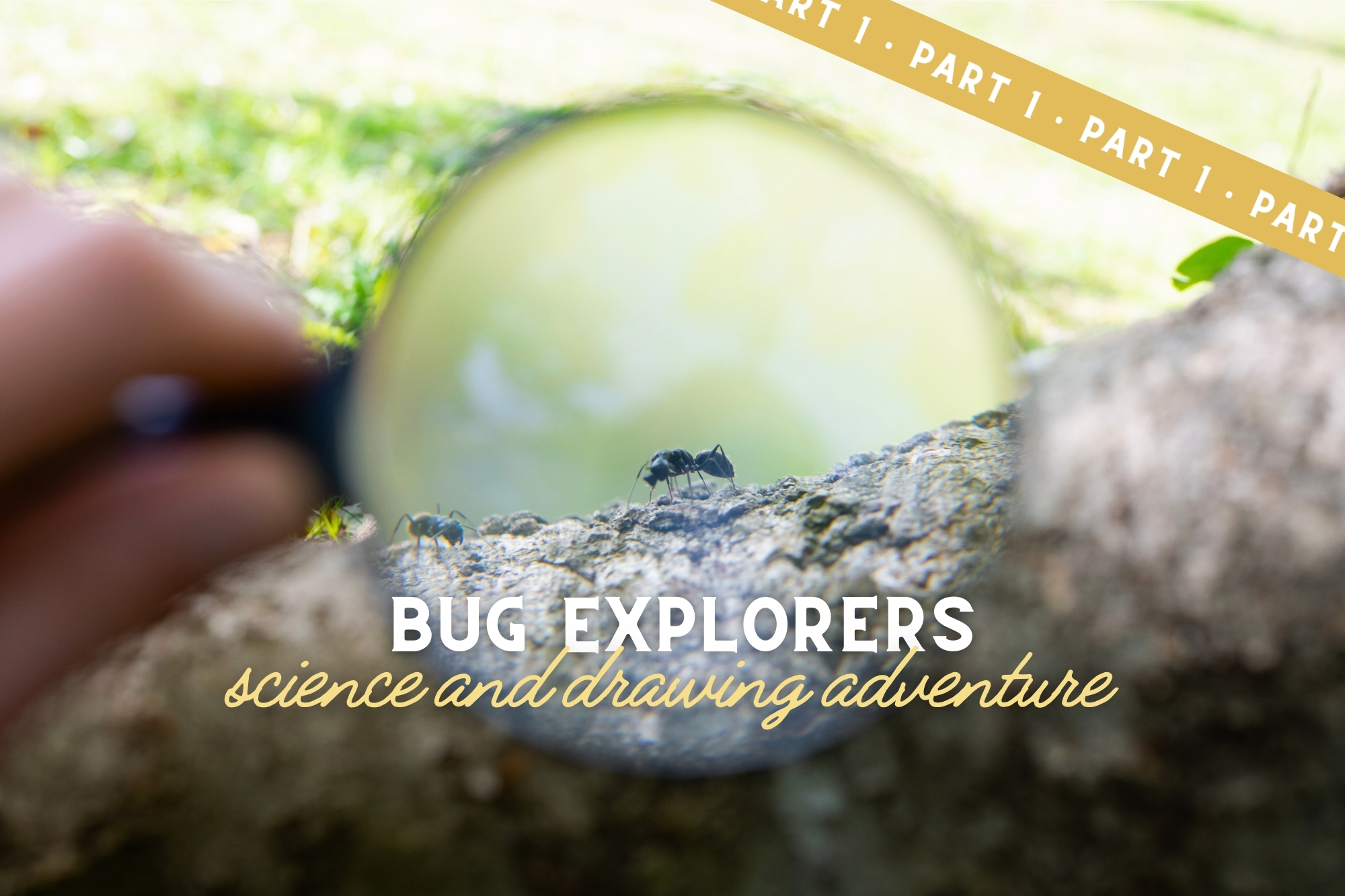 Bug Explorers: Science & Drawing Adventure (Part 1) - WonderWell Learning