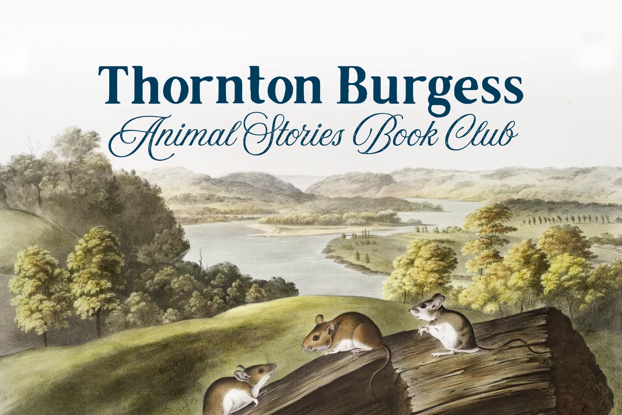 Thornton Burgess Animal Stories Book Club - WonderWell Learning