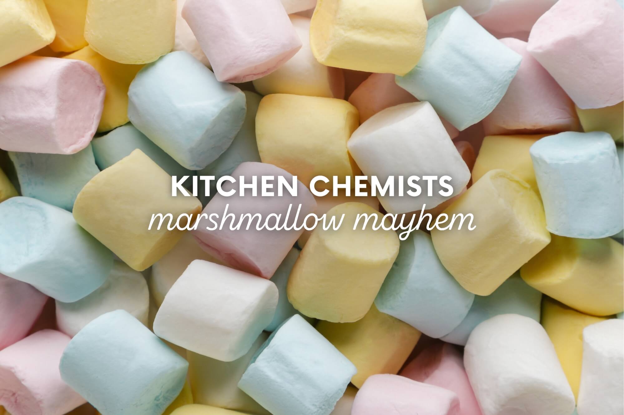 Kitchen Chemists: Marshmallow Mayhem - WonderWell Learning