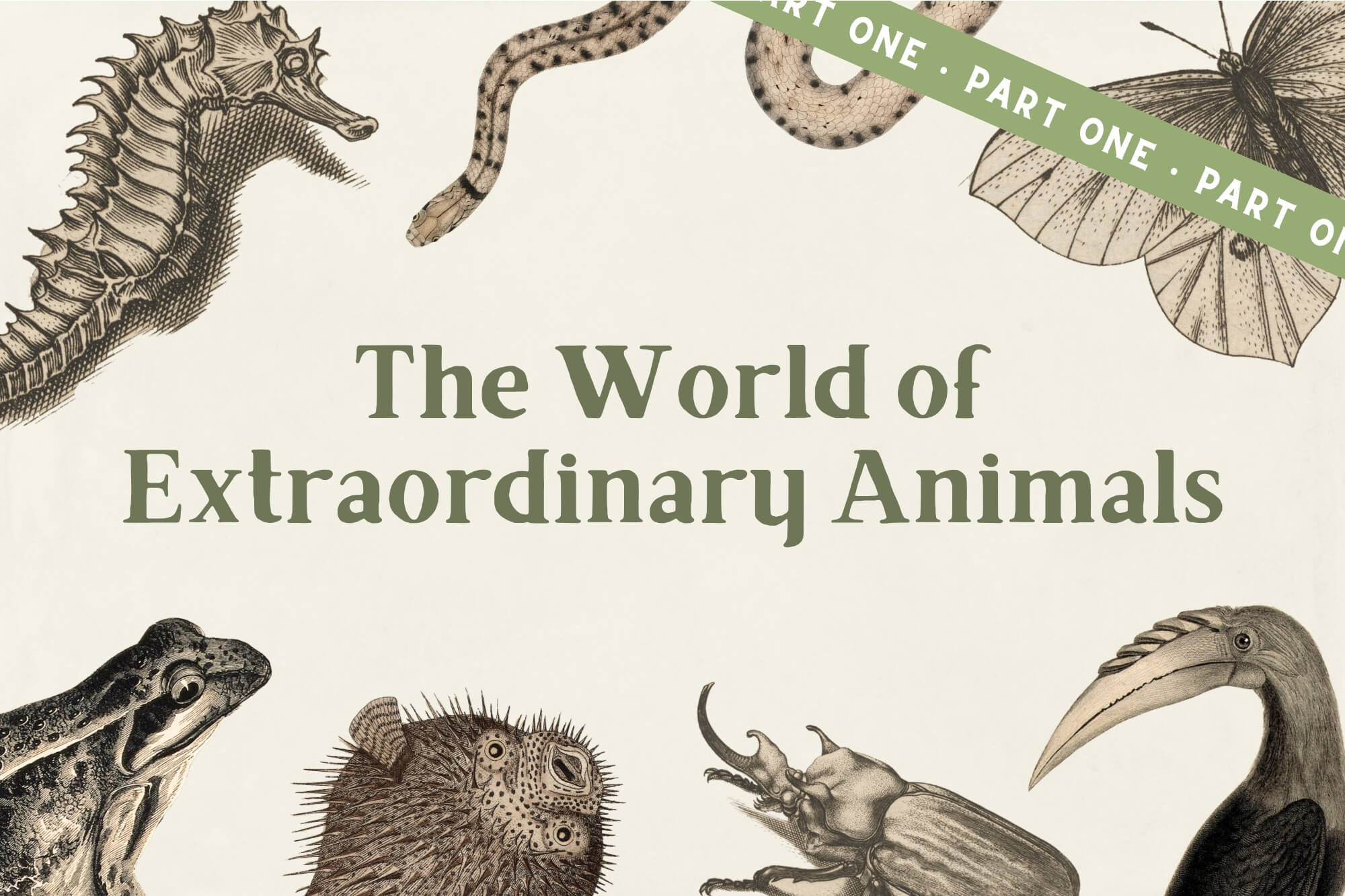 Animal Science: The World of Extraordinary Animals (Part One)