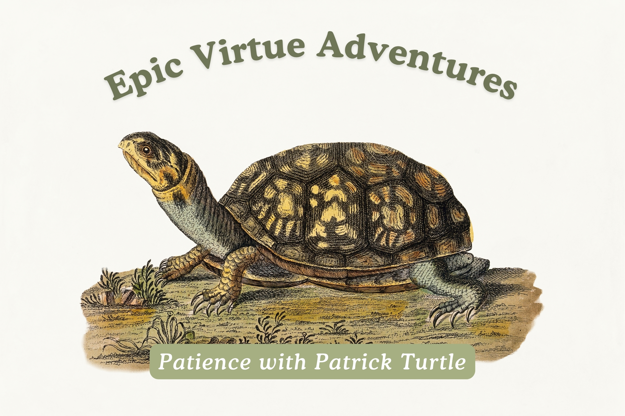 Epic Virtue Adventures: Patience with Patrick the Turtle