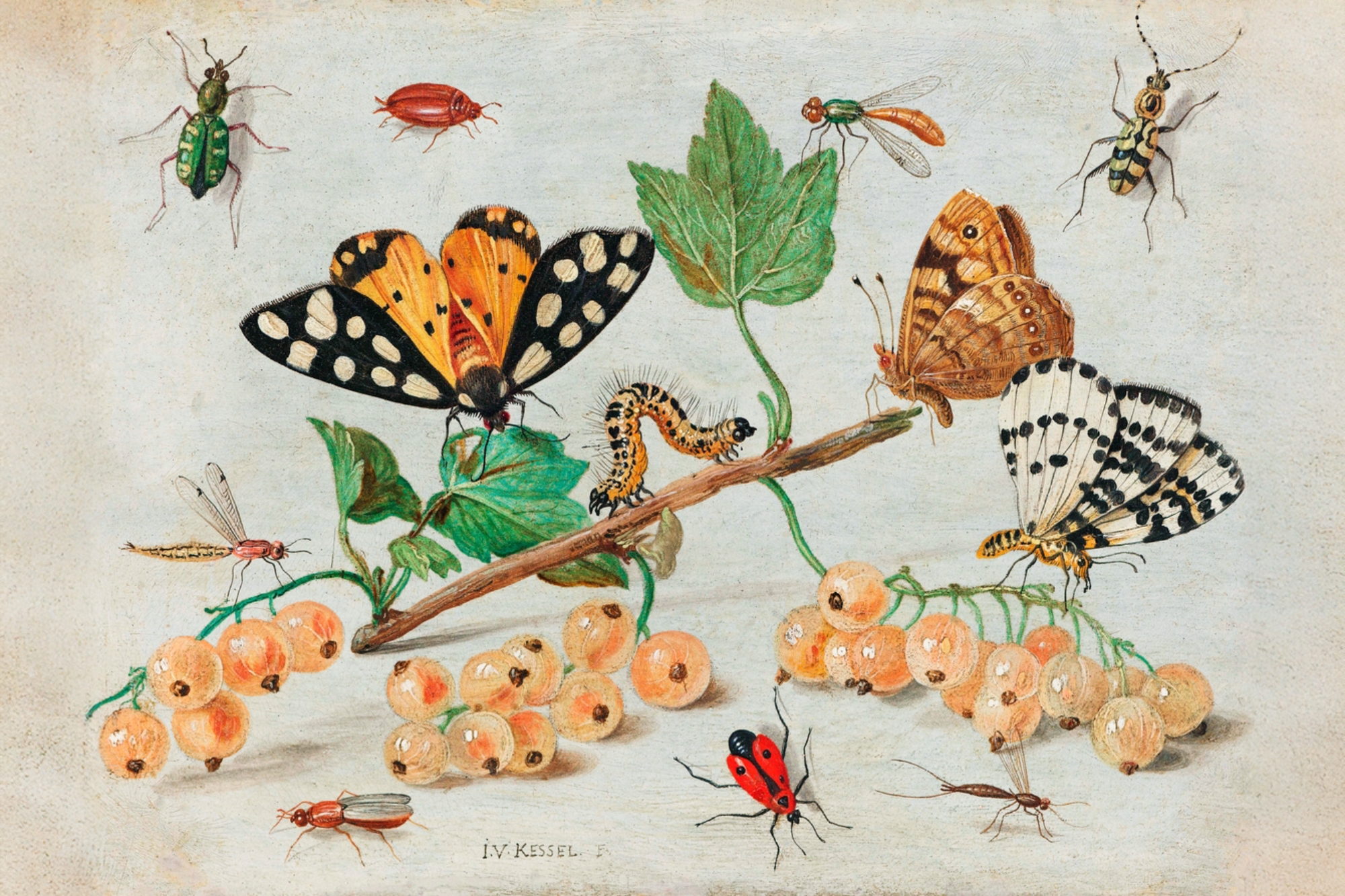 Beautiful Little Beasts: Enter the Creative World of Artists Joris Hoefnagel & Jan van Kessel