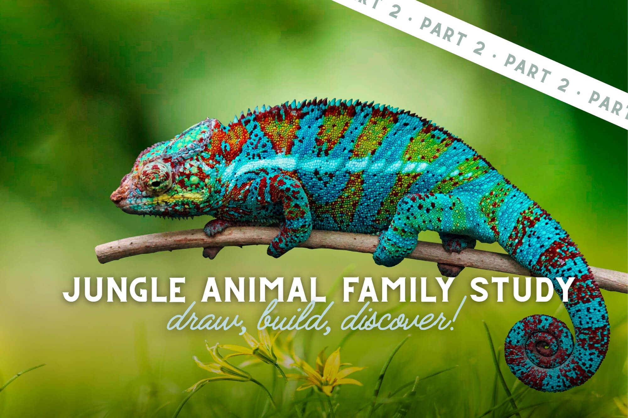 Draw, Build, and Discover! Jungle Animals Family Unit Study (Part 2) - WonderWell Learning
