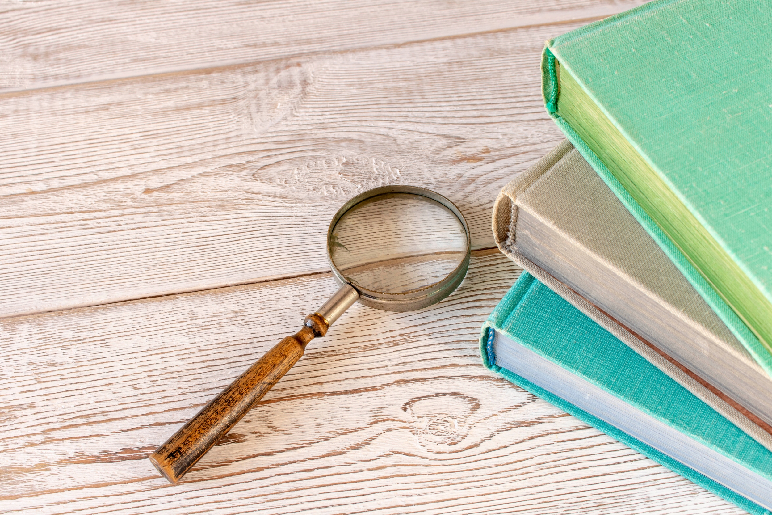 Reading Detectives: Clues, Questions & Comprehension - WonderWell Learning