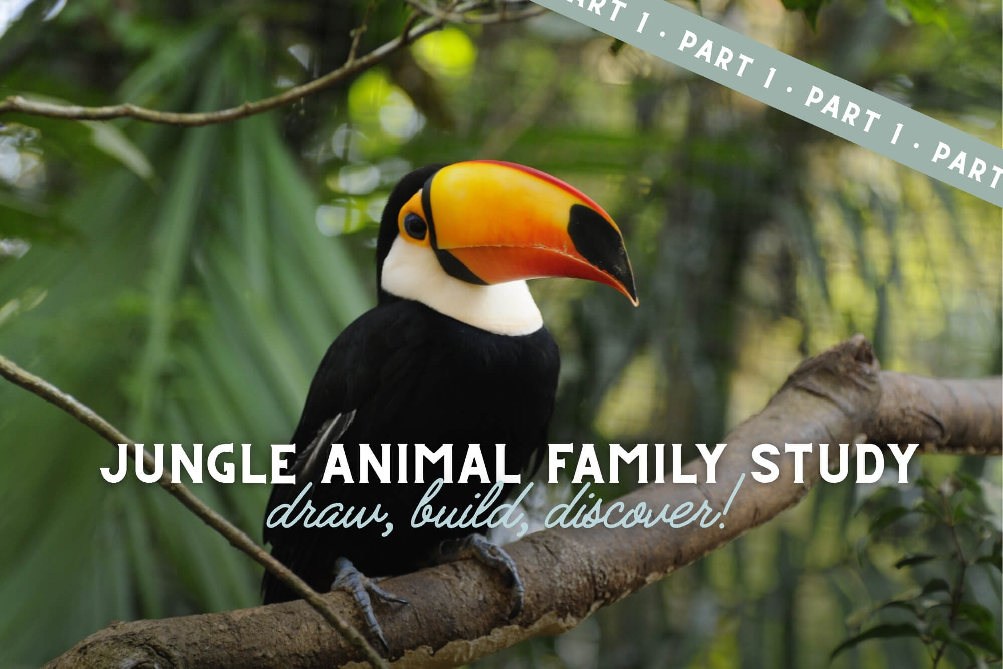 Draw, Build, and Discover! Jungle Animals Family Unit Study (Part 1) - WonderWell Learning