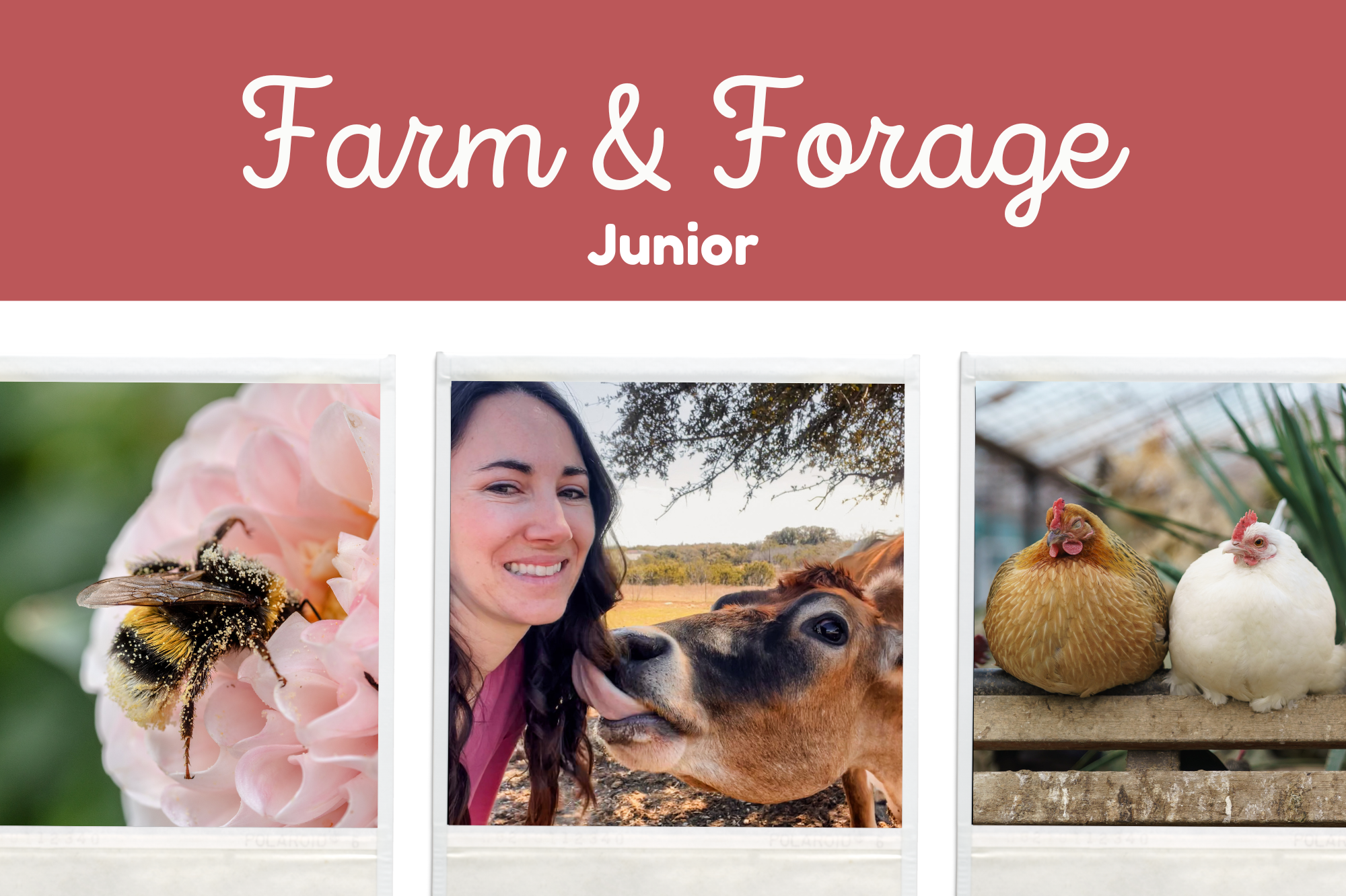 Farm & Forage (Junior)