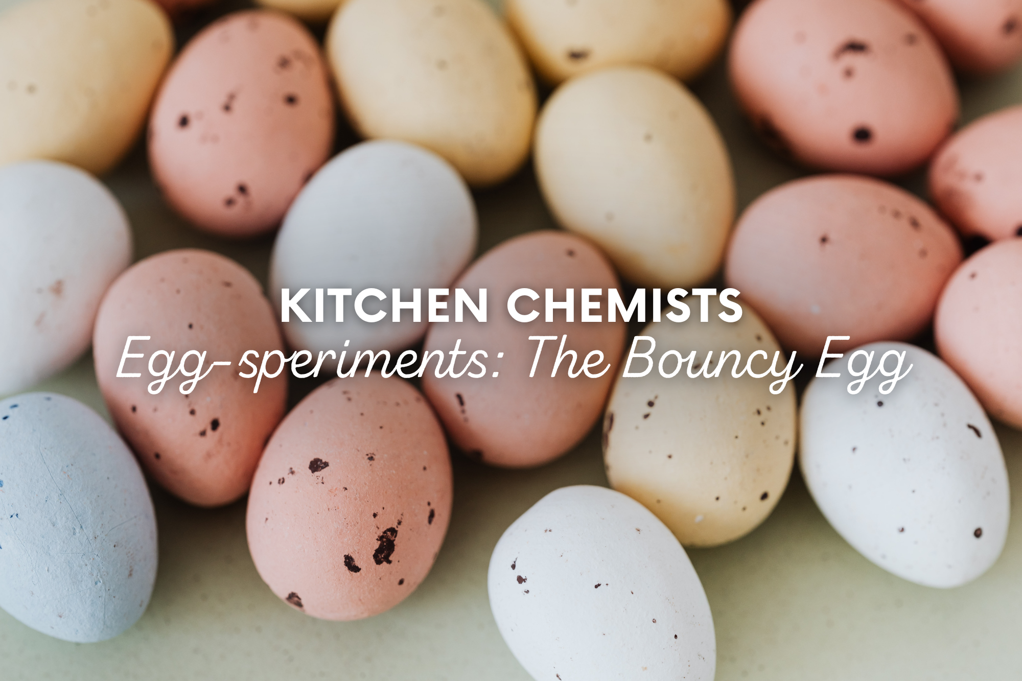 Kitchen Chemists Egg-speriments: The Bouncy Egg