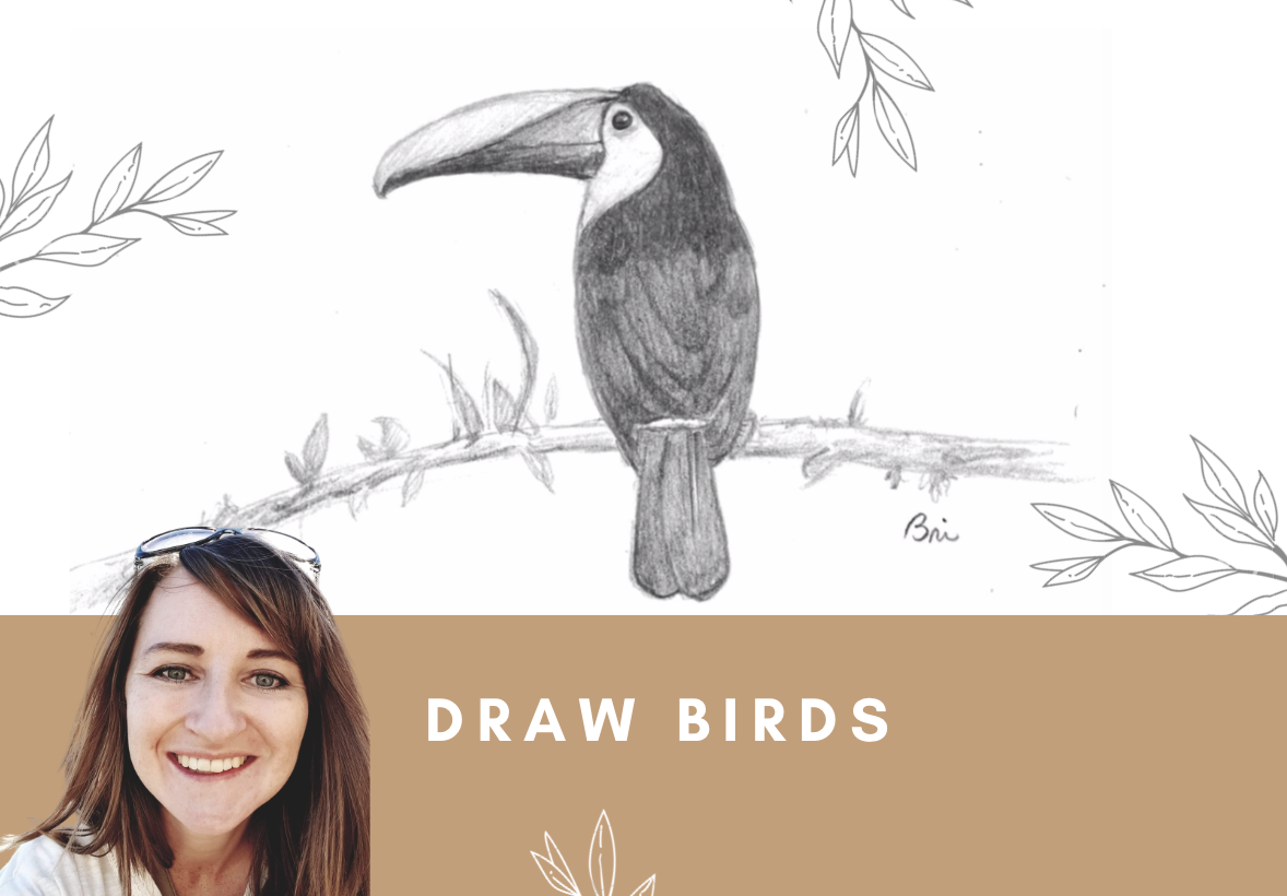 Draw Realistic Birds - WonderWell Learning