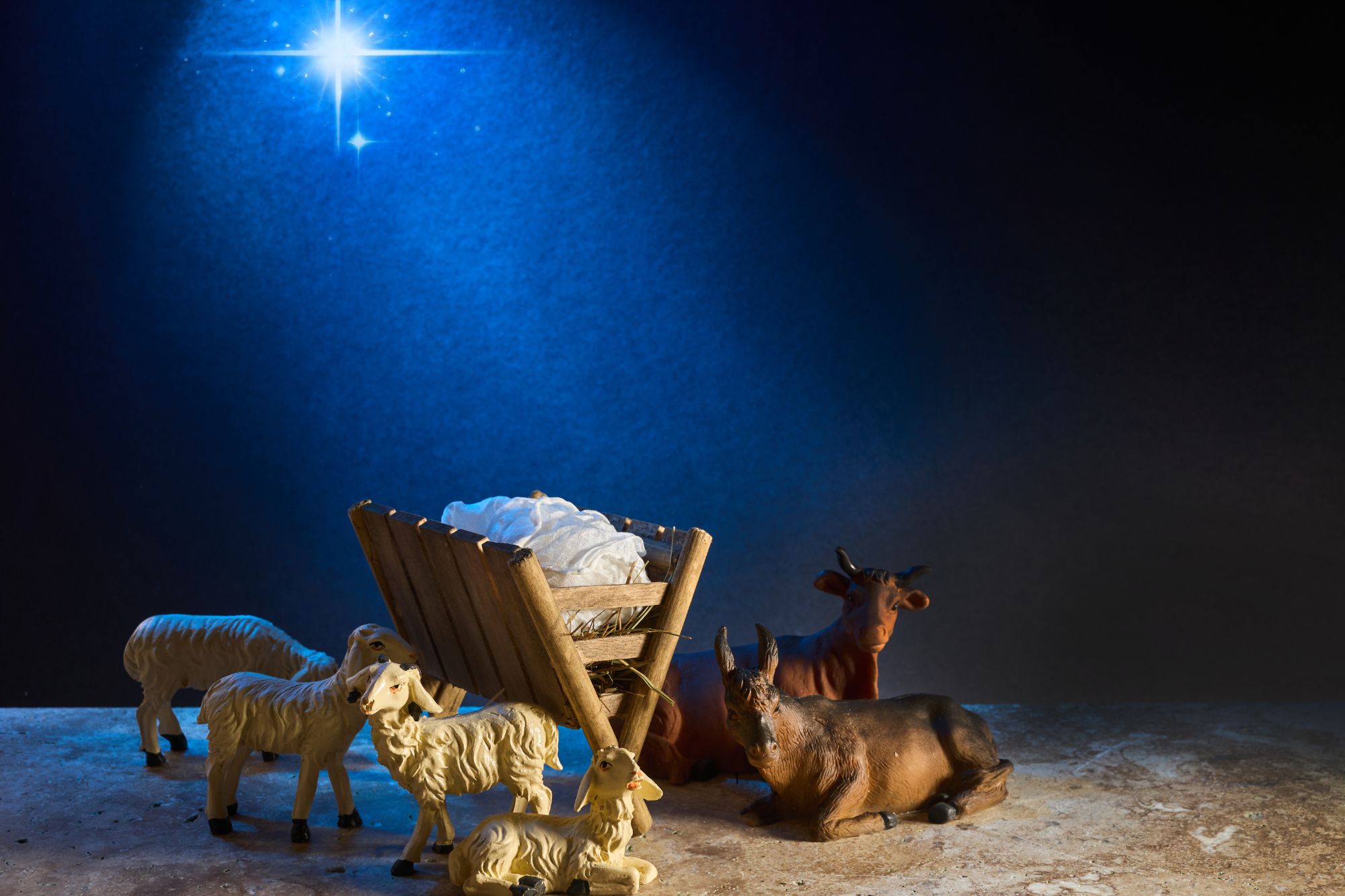Christmas Stem Novel Study: The Best Christmas Pageant Ever