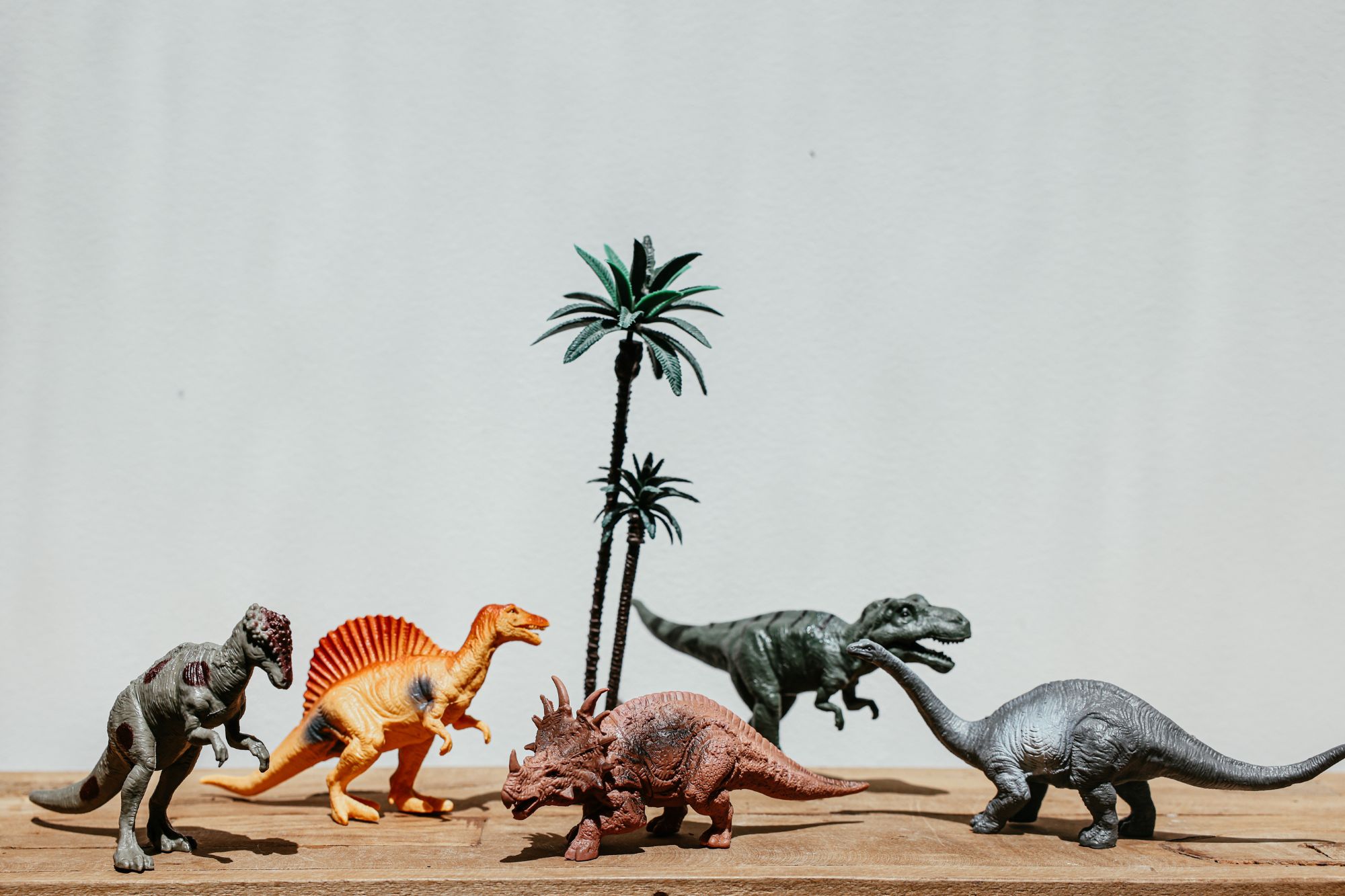Dino Tracks: Dinosaurs and the Bible - WonderWell Learning