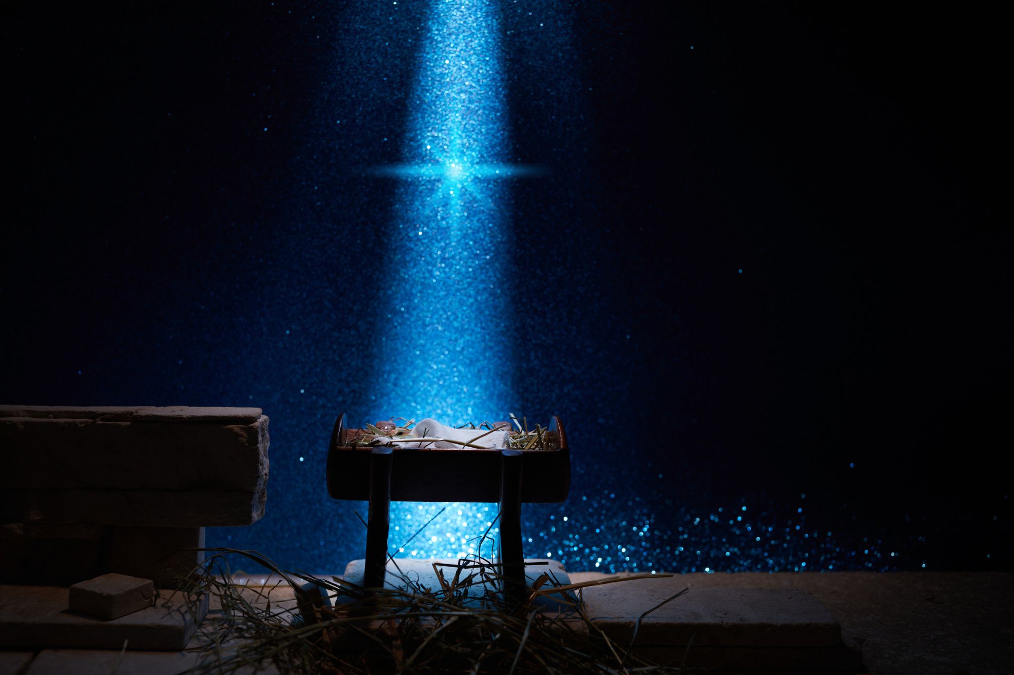 Family Bible Club: Journey to the Manger - WonderWell Learning