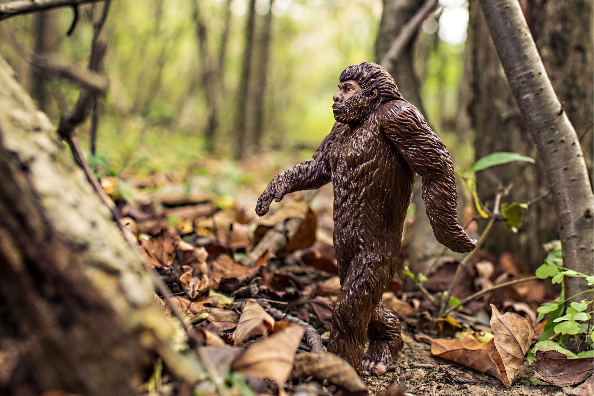Mystery Research Lab: Investigating Bigfoot, Aliens & Other Unexplained Creatures