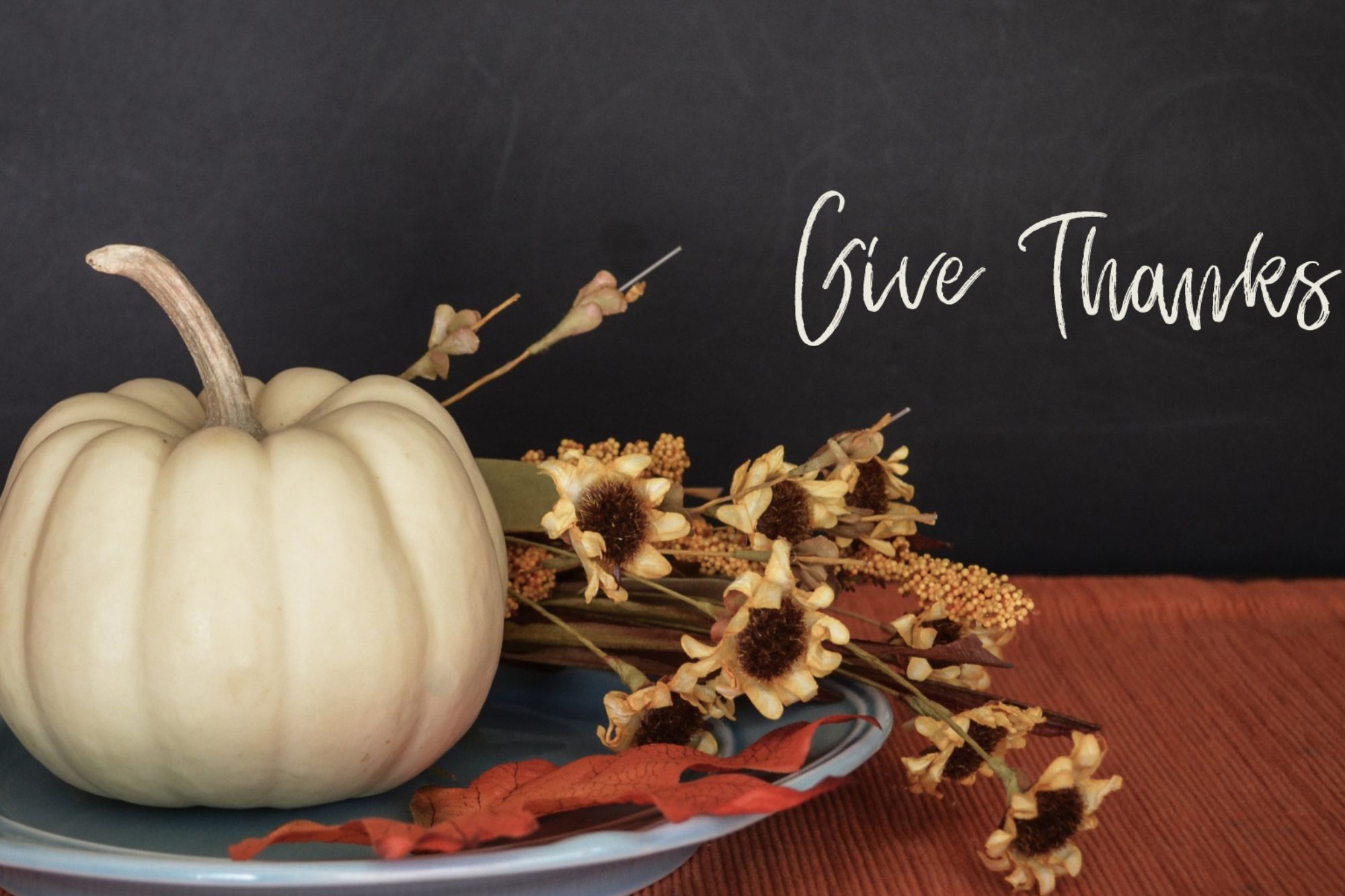 Gratitude Journals & Creative Writing: A Thanksgiving Workshop - WonderWell Learning